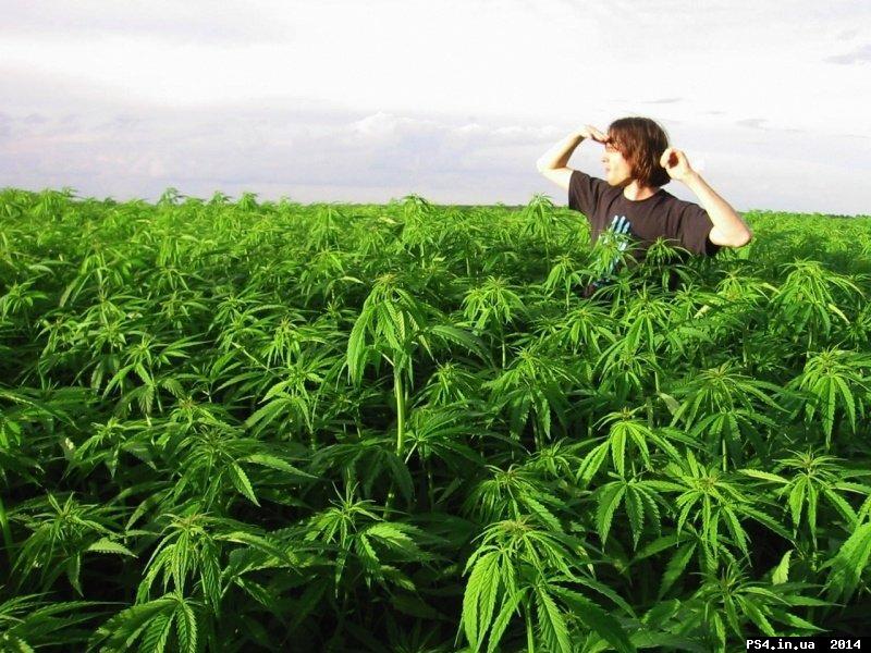 ps4.in.ua_1414344974__1397122268_1329211