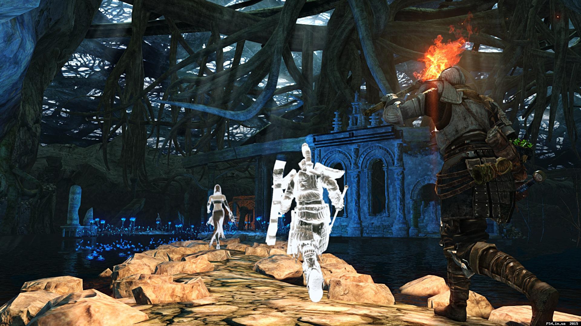 ps4.in.ua_1421447938__e8ba8a84202384db27