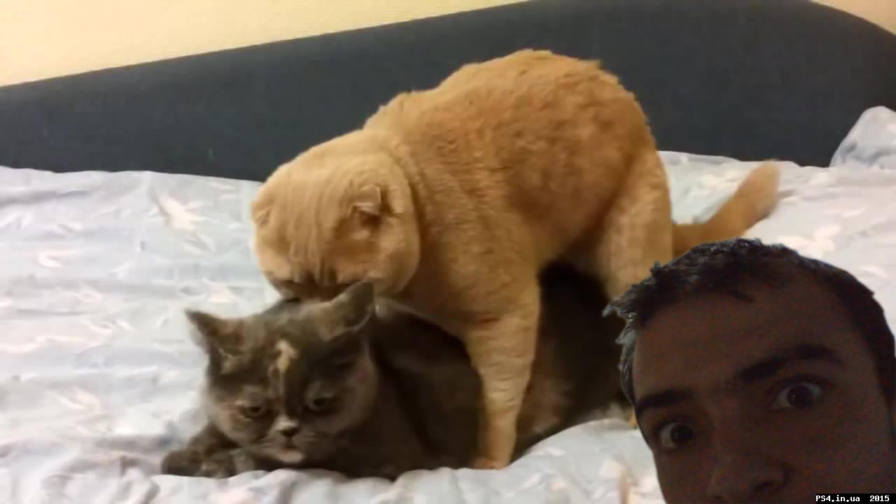 ps4.in.ua_1439564105__big_1411091449_139