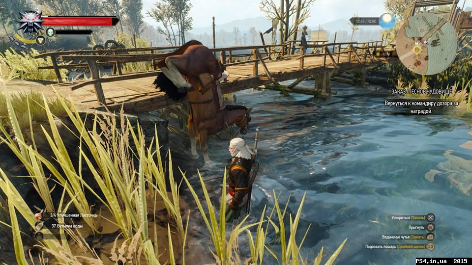 ps4.in.ua_1447227679__10009293_763595193