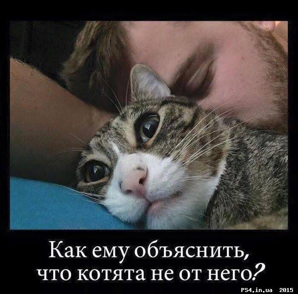 ps4.in.ua_1448700145__12308471_584965654