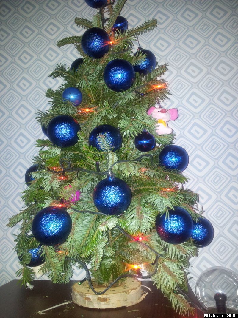 ps4.in.ua_1451224154__img_20151226_19300