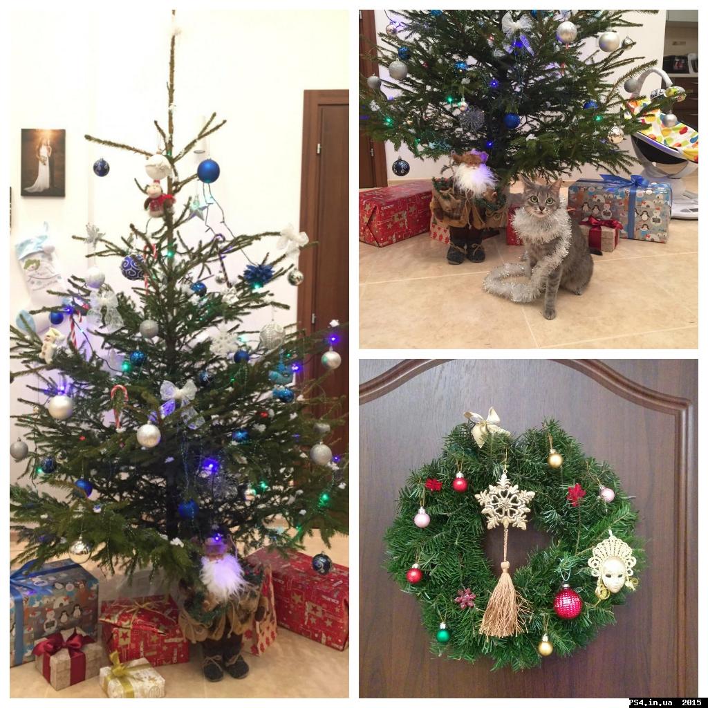 ps4.in.ua_1451598944__cymera_20151231_23