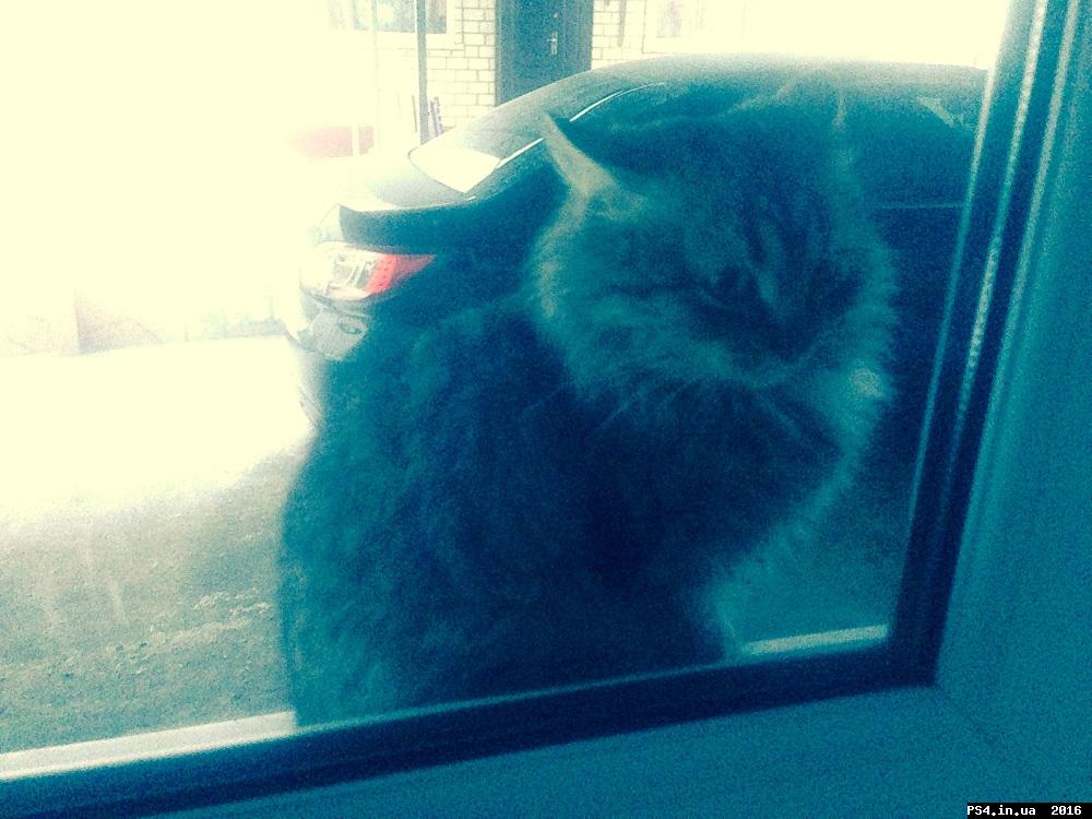 ps4.in.ua_1453148675__img_2072.jpg