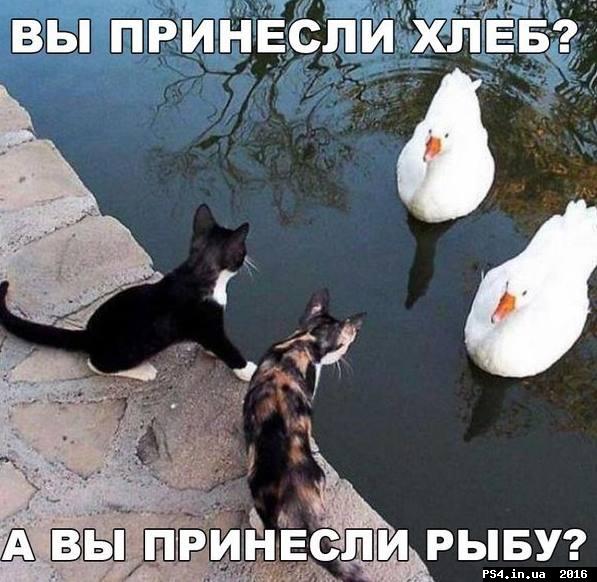 ps4.in.ua_1463833324__13237782_117217653