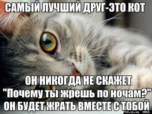 ps4.in.ua_1466020446__13393919_861489613