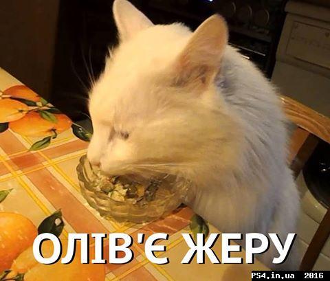 ps4.in.ua_1467616172__13557798_102063386