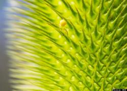 thumb_ps4.in.ua_1461868389__800xdsc_3890