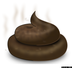 thumb_ps4.in.ua_1470208010__poop-311256_