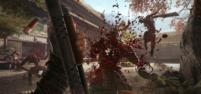 Shadow Warrior 282_base.jpg