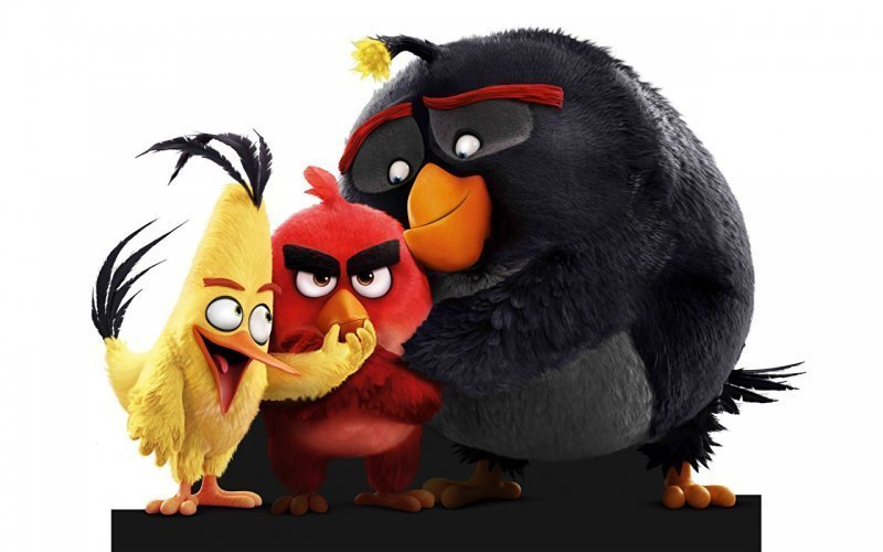 Birds_Angry_Birds_505355.jpg