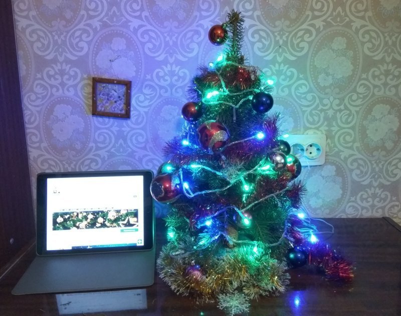 2017-12-29 11.44.52.jpg