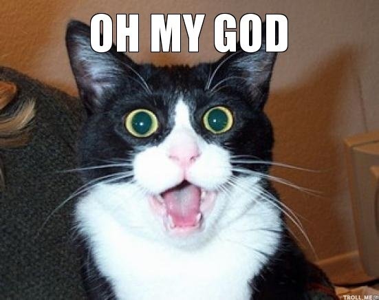 oh-my-god.jpg.9fe53d87bea93dbe02ff609efa9d3a49.jpg
