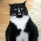 1358100479506.thumb.jpg.e79b47e09e206207251ad2a4b0dd441b.jpg.5b62a42cf7b356d5e109141d6dd9baa0.jpg