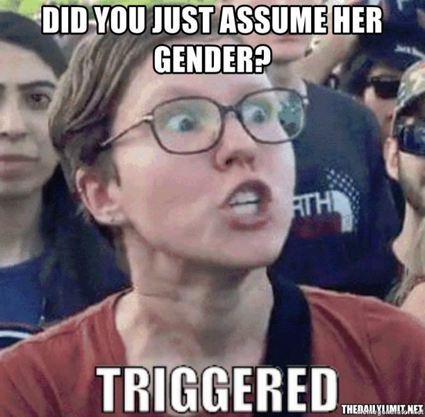 did-you-just-assume-her-gender.jpg