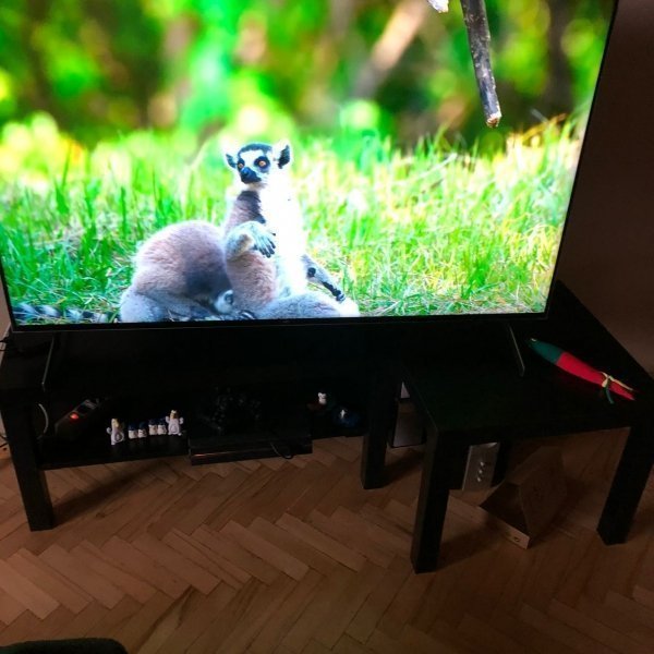 2020-11-19 15.06.53.jpg