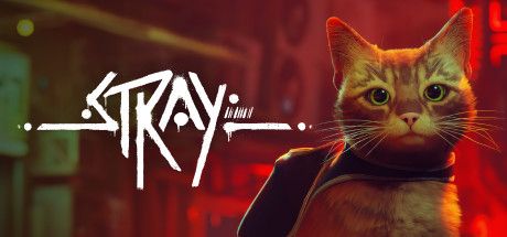 Подробнее о "Куплю П2 STRAY"