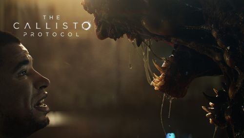 Подробнее о "The callisto protocol /175587 / П3"