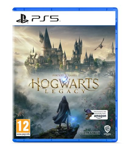 Подробнее о "Hogwarts Legacy П3 184314"