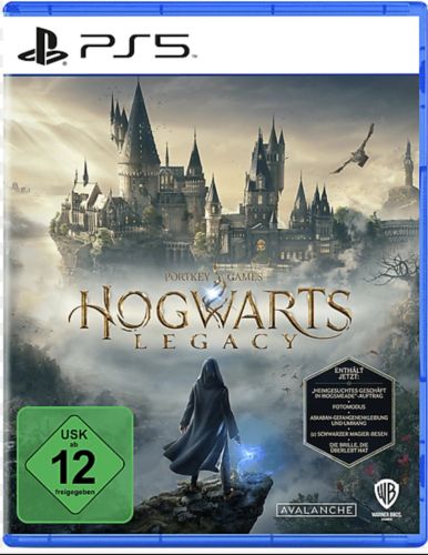 Подробнее о "Hogwarts Legacy/П2/195508"