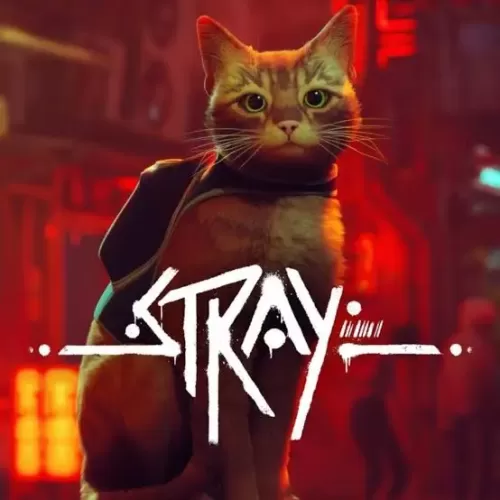 Подробнее о "Stray"
