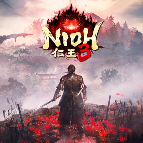 Подробнее о "NIOH 3"