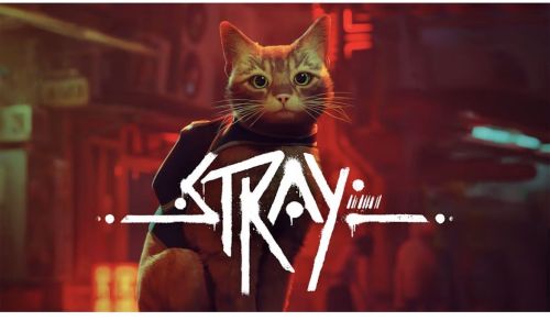 Подробнее о "Продам Stray"