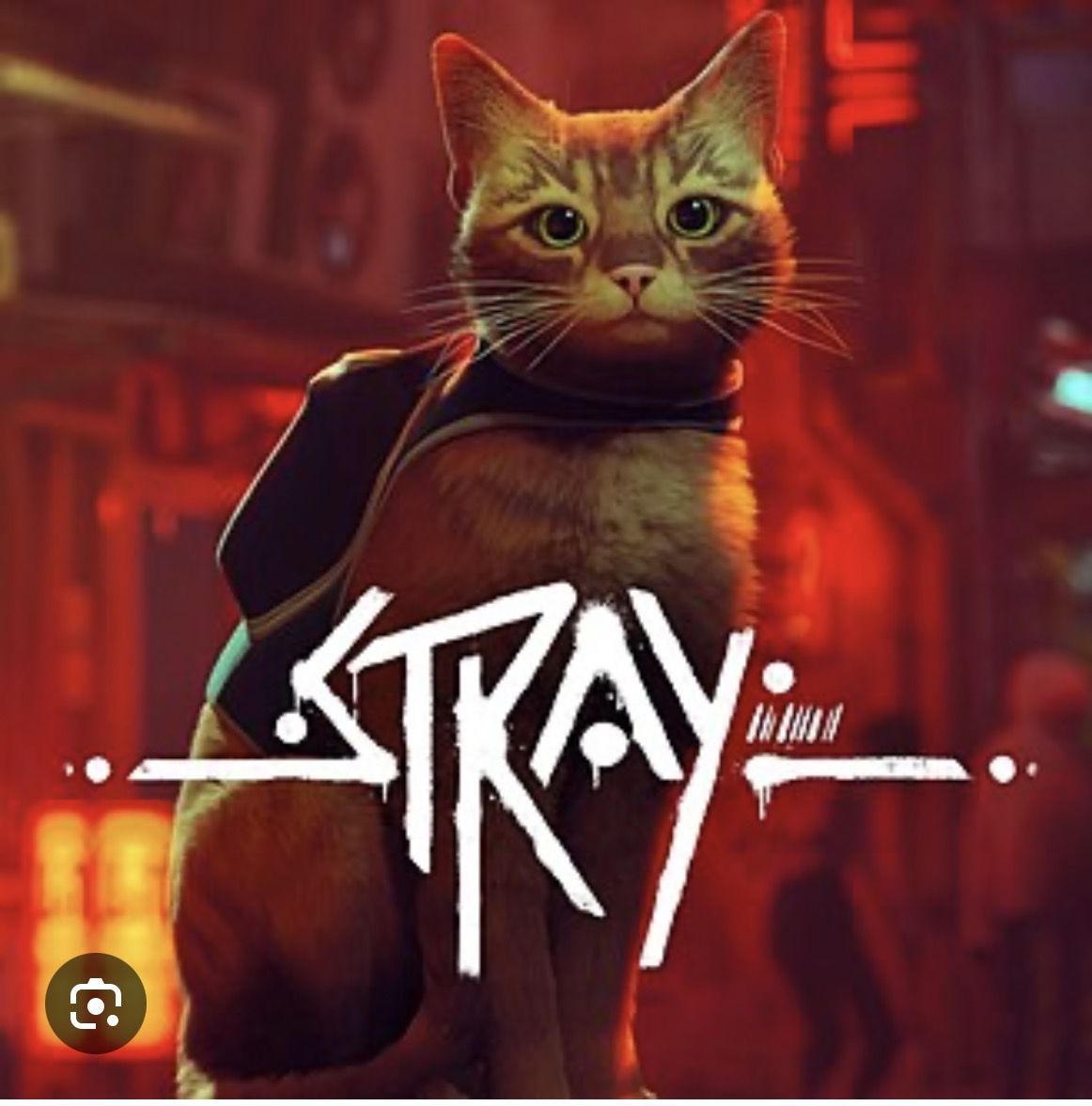 Подробнее о "Stray"